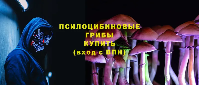 Псилоцибиновые грибы MAGIC MUSHROOMS  Магадан 